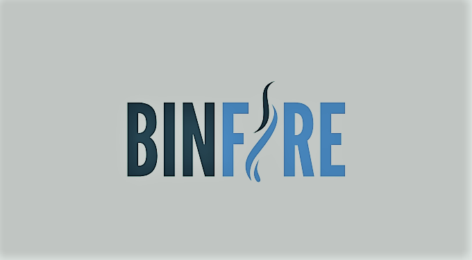 Logo der Projektmanagement-Software Binfire